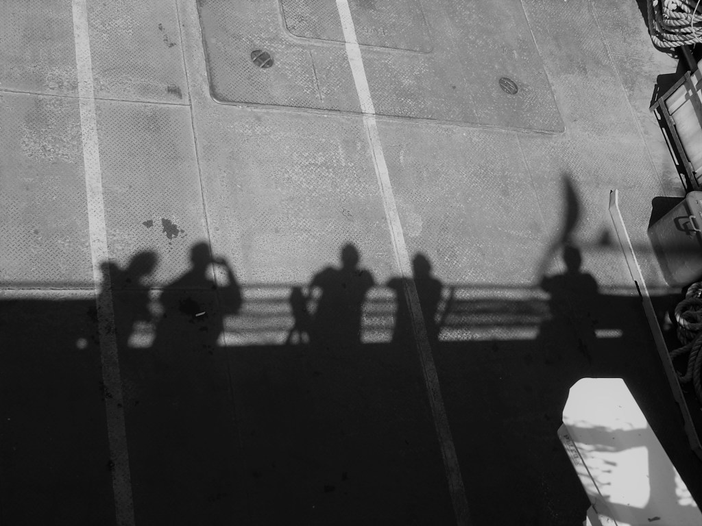 Mule Jenny photo ombre au sol